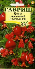 Гранат карликовый Карфаген*  5 шт
