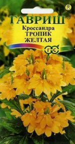 Кроссандра Тропик желтая * 3 шт. серия Элитная клумба DH