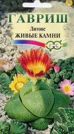 Литопс Живые Камни 5 шт. пробирка 