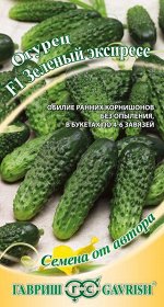 Огурец Зеленый экспресс F1 10 шт. автор.