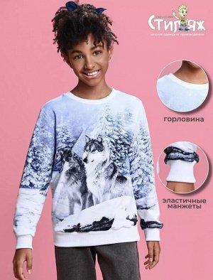 Стиляж Джемпер свитшот подростковый с принтом без начеса длинный рукав Сибирские волки
