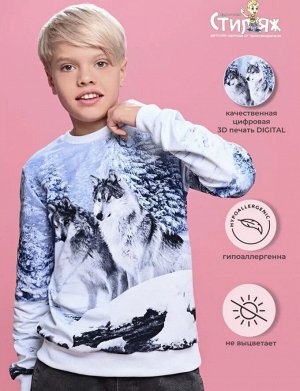 Стиляж Джемпер свитшот подростковый с принтом без начеса длинный рукав Сибирские волки