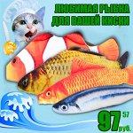 Игрушки для котов