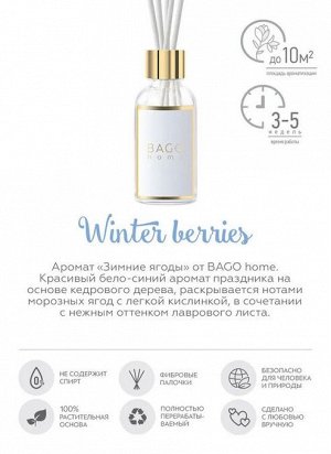 Ароматический диффузор Зимние ягоды 30 мл, BGA0106