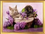 Картины для рисования