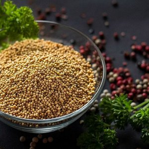 Mustard Yellow Seeds / Горчица желтая семена / 100 г / пакет / HATHI MASALA™