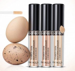 Жидкий консилер с аппликатором BioAqua Silky Skin Concealer