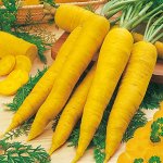 Морковь Melon yellow