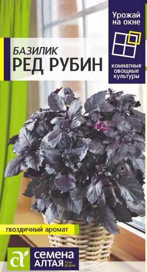 Зелень Базилик Ред Рубин/Сем Алт/цп 0,3 гр. УРОЖАЙ НА ОКНЕ!