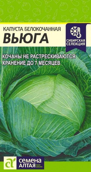 Капуста Вьюга/Сем Алт/цп 0,5 гр. Сибирская Селекция!