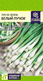 Лук на зелень Белый Пучок/Сем Алт/цп 0,5 гр.
