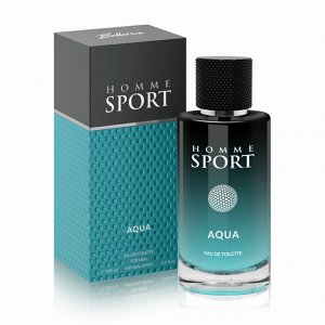 Art Parfum Мужская туалетная вода Хом Спорт Аква 100мл