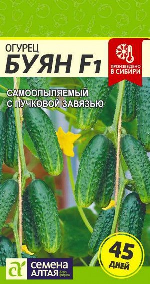Огурец Буян F1/Сем Алт/цп 5 шт.