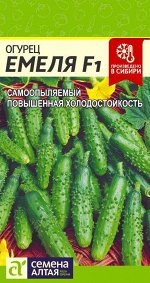 Огурец Емеля F1/Сем Алт/цп 5 шт.