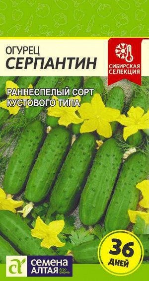 Огурец Серпантин/Сем Алт/цп 0,5 гр. Сибирская Селекция!