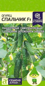 Огурец Спальчик F1/Сем Алт/цп 5 шт.