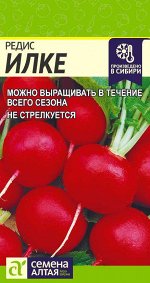 Редис Илке/Сем Алт/цп 2 гр.