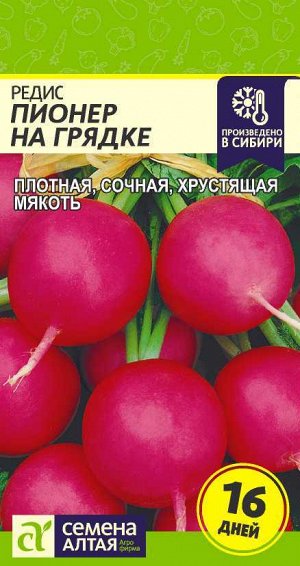 Редис Пионер на Грядке (16 дней)/Сем Алт/цп 2 гр.