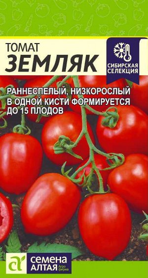 Томат Земляк/Сем Алт/цп 0,05 гр. Сибирская Селекция!