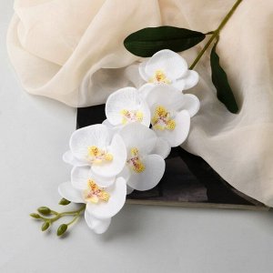 Poetry in flowers Цветы искусственные &quot;Орхидея фаленопсис&quot; премиум, 7х55 см, белый