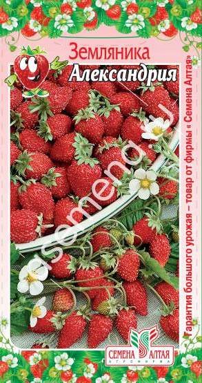 Ягода Земляника Александрия ремонтантная/Сем Алт/цп 0,05 гр.