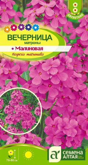 Вечерница Матроны Малиновая/Сем Алт/цп 0,2 гр.