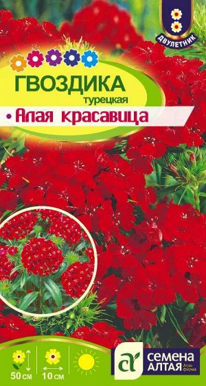 Гвоздика турецкая Алая красавица/Сем Алт/цп 0,2 гр.