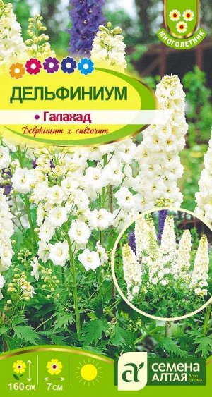 Цветы Дельфиниум Галахад/Сем Алт/цп 0,1 гр. многолетник