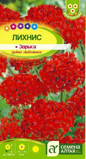 Лихнис халцедонский Зорька/Сем Алт/цп 0,1 гр. многолетник