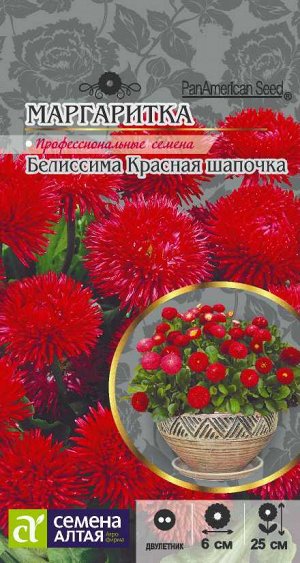 Маргаритка Белиссима Красная шапочка/Сем Алт/цп 8 шт.