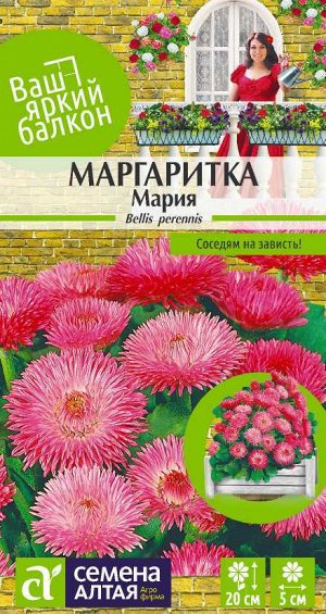 Маргаритка Мария/Сем Алт/цп 0,05 гр. Ваш яркий балкон