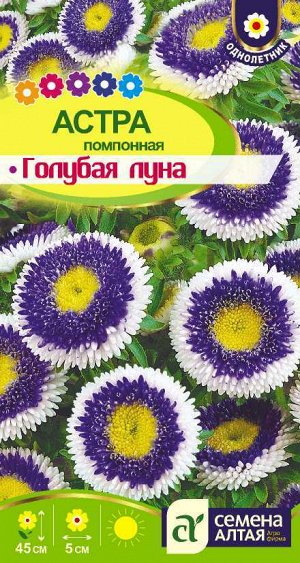 Астра Голубая Луна помпонная/Сем Алт/цп 0,1 гр.