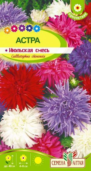 Астра Июльская Смесь окрасок/Сем Алт/цп 0,2 гр.