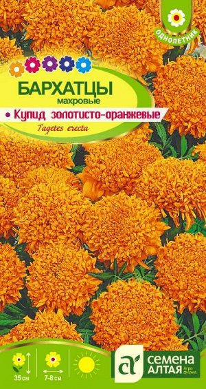 Бархатцы Купид Золотисто-Оранжевые/Сем Алт/цп 0,3 гр.