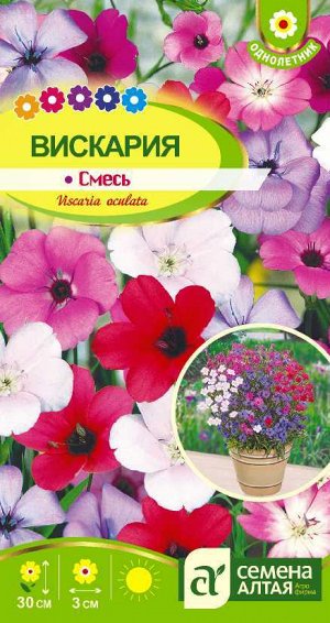 Вискария Холидей смесь