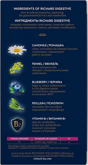 Чай в пакетиках зеленый RICHARD DIGESTIVE ароматизированный, пакетированный - 20 сашет