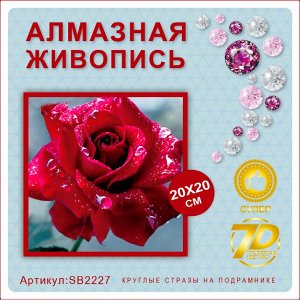 Набор для творчества "Алмазная мозаика" 20*20см