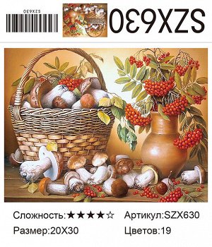 Набор для творчества "Алмазная мозаика" 20*30см
