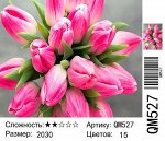 Рисование по номерам 20*30см