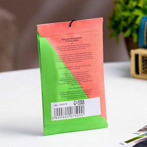 Аромасаше «Сочный Арбуз», 10 г, «Богатство Аромата»