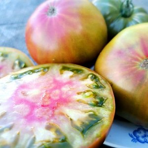 Помидоры Аляска Медная Река — Copper River Tomato