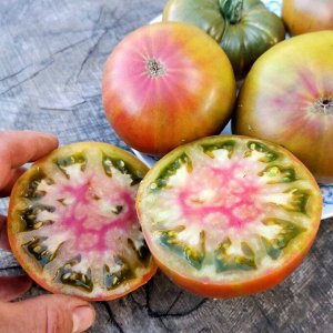 Помидоры Аляска Медная Река — Copper River Tomato