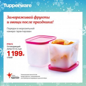 Охлаждающий лоток (1,1 л), 2 шт.