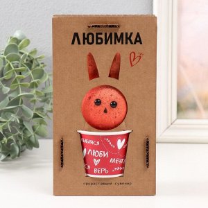 Растущий подарок травка Травянчик "Любимка заяц" (21) МИКС