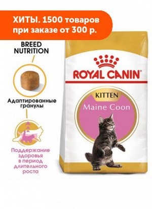 Royal Canin Kitten Maine Coon сухой корм для котят породы Мейн-Кун от 3 до 15 месяцев 2кг