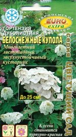 Гортензия Дуболистная Белоснежные купола