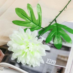 Цветы искусственные "Пион садовый" d-14 см 46 см, белый