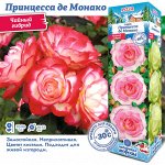 Роза Принцесса де Монако (Чайно-гибридная) 1шт (Сиб сад)