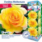 Роза Голден Медальон (Чайно-гибридная) 1шт (Сиб сад)