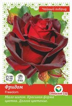 Роза Фридом (Чайно-гибридная) &quot;СИБИРСКАЯ САДОВНИЦА&quot; 1шт (Сиб сад)